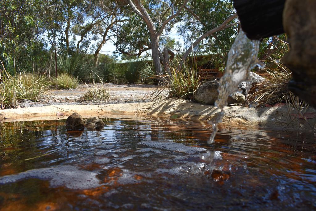 Kangaroo Island Wilderness Retreat Flinders Chase Kültér fotó