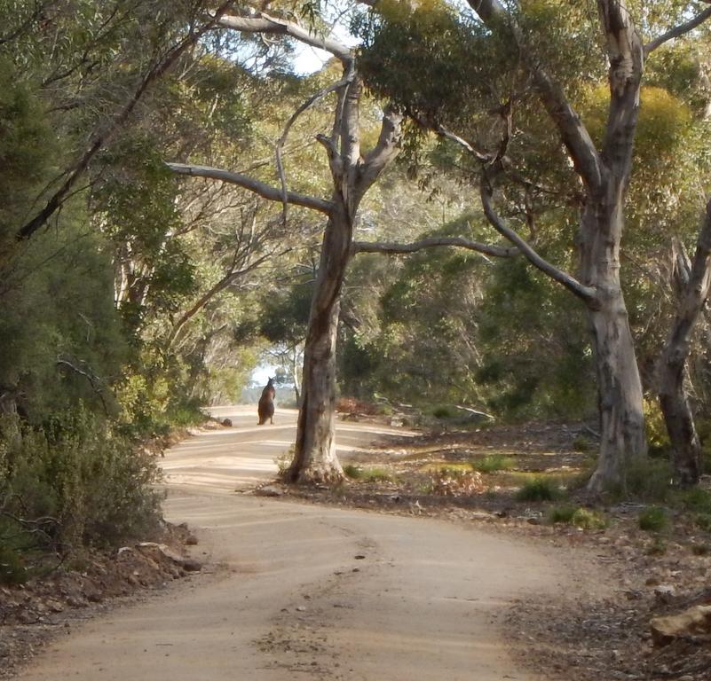 Kangaroo Island Wilderness Retreat Flinders Chase Kültér fotó