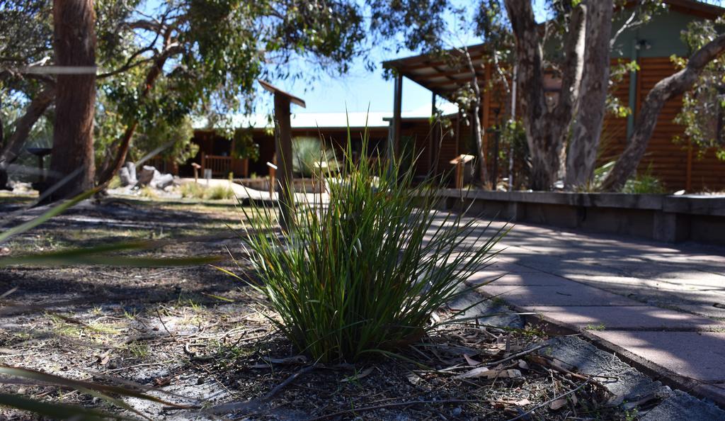 Kangaroo Island Wilderness Retreat Flinders Chase Kültér fotó