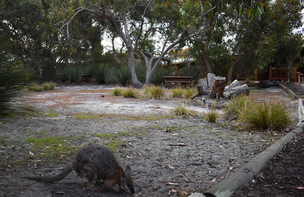 Kangaroo Island Wilderness Retreat Flinders Chase Kültér fotó