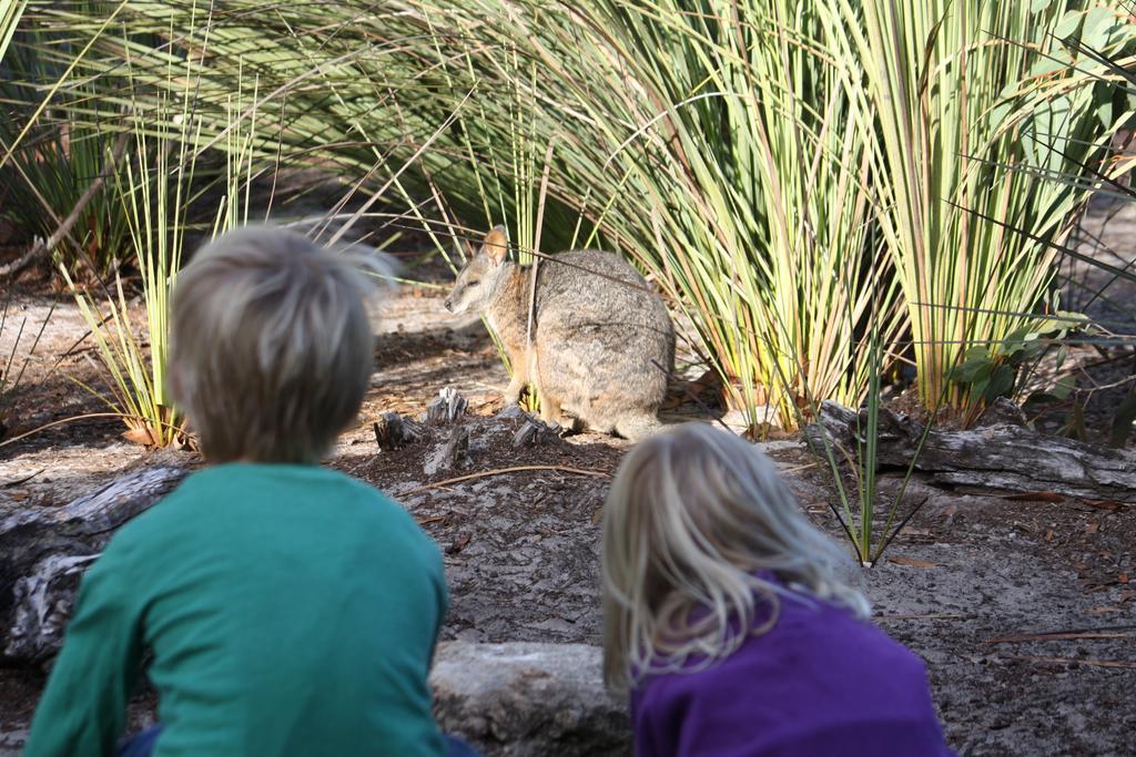 Kangaroo Island Wilderness Retreat Flinders Chase Kültér fotó